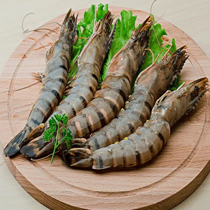 Tiger Shrimp - Premium Black Tiger Prawn